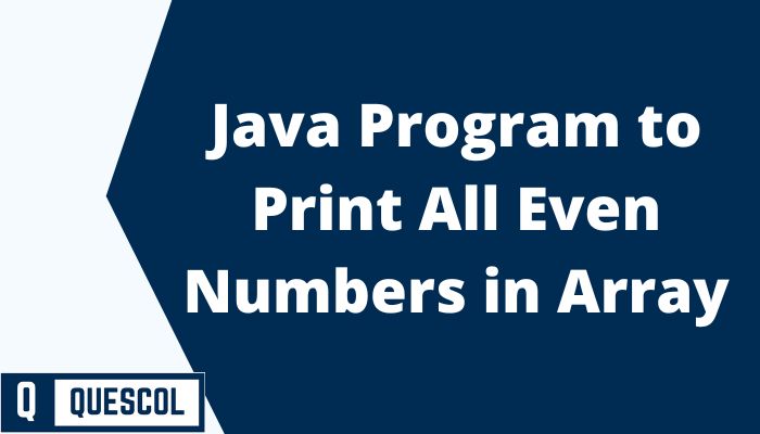 print all even number from array java