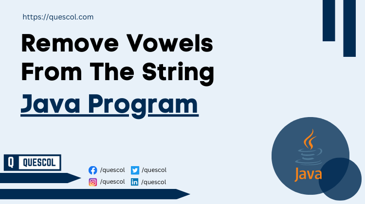 Remove Vowels From The String in java