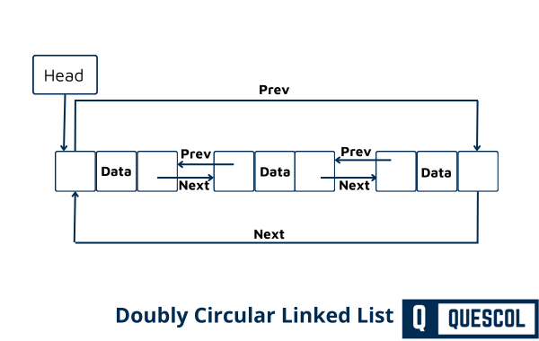 doubly circular linked list